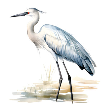 recommend clip art: Watercolor crane or egret standing in water spot, clipart