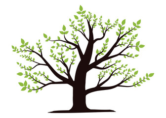 Obraz premium tree with green leaves. natural large plant image. transparent png and vector illustration.