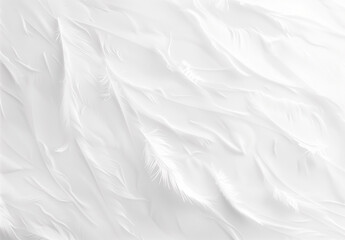 Fototapeta premium luxurious and elegant silk