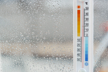 Thermometer Attached to Window With Rain and Plant