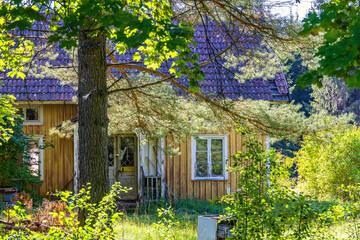 Old wooden house in overgrown garden in the countryside © Lars Johansson