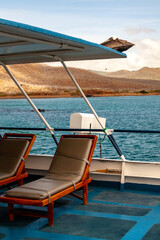 pelican sitting on boat roof galapagos islands