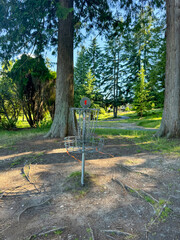 Disc golf basket on a forest course in summer 