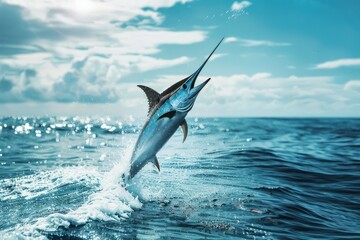 Obraz premium Blue Marlin fish jumping out of ocean water