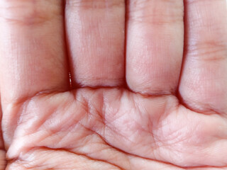 close up of hand. close up of palm surface. human hand. value of human hand lines. part of the human body. palmar surface of the finger