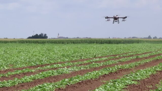 Modern Application of Fertilization in Agriculture; Spraying crops against weeds using a drone