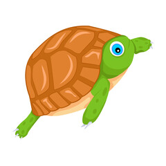 An icon of cute terrapin in flat style 


