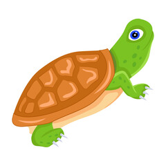 A flat icon of box turtle

