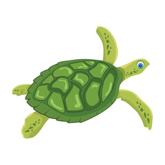 A flat icon showing cute sea turtle



