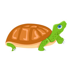A cute flat icon of freshwater turtle

