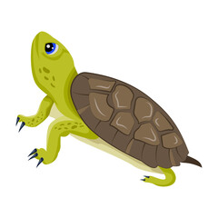 A flat style icon of testudines  

