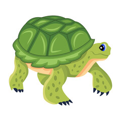 Obraz premium A cute flat icon of freshwater turtle