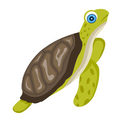 An icon of sea chelonian in flat style

