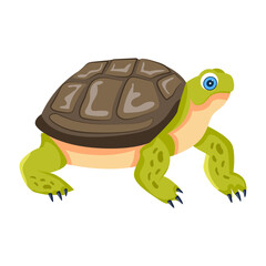 A flat style icon of testudines 

