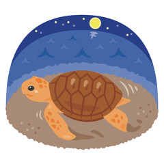 夜の砂浜を歩くウミガメ