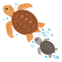 泳ぐウミガメの親子