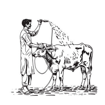 recommend clip art: Adobe Illustrator Artwork, line art , man washing cow in water