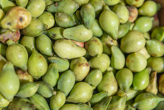Kakadu Plums close up