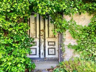 Zugewachsener Eingang mit Holztür des leerstehenden Salon Weirauch, unbewohnt und jetzt...