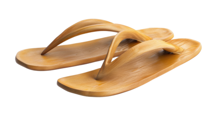 Flip Flop isolated on a transparent background