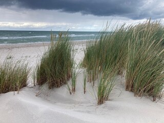 Regen am wilden Weststrand, Nationalpark Vorpommersche Boddenlandschaft, Fischland-Darß-Zingst, Mecklenburg-Vorpommern, Deutschland