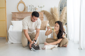 In Selangor, Malaysia, long-haired Chinese Malaysian woman and muscular Indian Malaysian man couple sitting on sofa in stylish room with Asian-inspired furniture, playing with black and white cat.