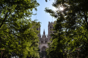 Cathedral of St. Michael and St. Gudula Framed by Lush Trees - Brussels, Belgium