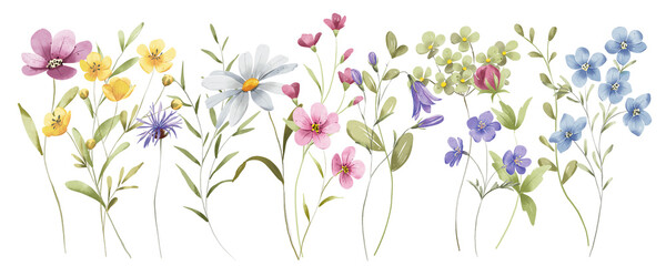 Watercolor wild flowers border banner for stationary, greetings, etc. floral decoration. Hand drawing