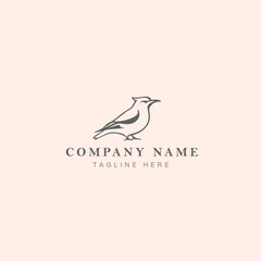 bird logo design vector graphic symbol icon sign illustration creative idea isolated background
