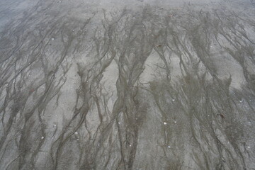 sand on the beach When the sea level recedes, there are strange patterns.