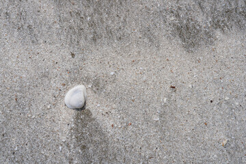 sand on the beach When the sea level drops See the seashells for the background image.