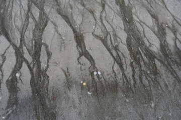 sand on the beach When the sea level recedes, there are strange patterns.