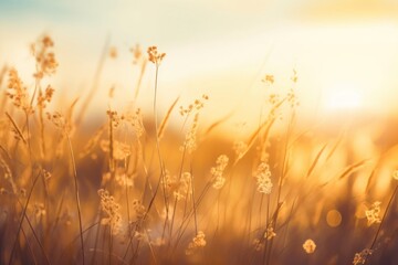 Yellow flowers and grass meadow landscape sunlight outdoors.