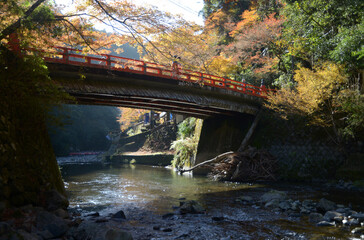 秋の高雄　清滝川の高雄橋　京都市右京区