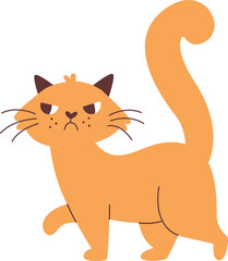 Angry Cat Walking