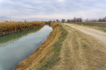 A water ditch flows along an earthen road. Dense yellow tall grass on the shore. Trees without...