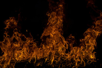 The fire, burning flame. Large burning flaming fire.