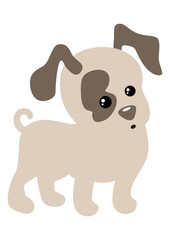 Sweet cute puppy dog isolated