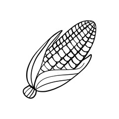 illustration of a corn