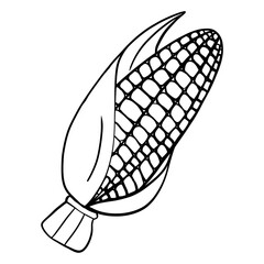 Corn on white