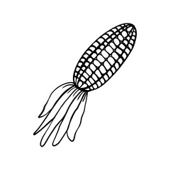 Corn 