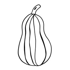 illustration of pumpkin in thanksgiving day