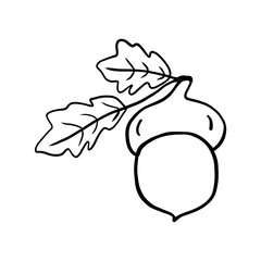 Oak in thanksgiving day