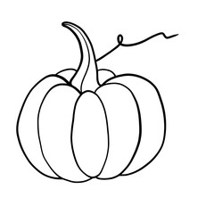 Pumpkin in thanksgiving day