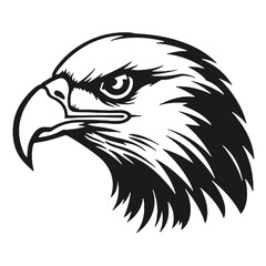 eagle vector illustration