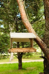 Homemade bird feeder on a tree in a park. Caring for birds.