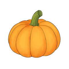 Fruit illustration of yellow pumpkin or (Cucurbita moschata) cartoon watercolor illustration on white background