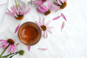 A cup of herbal tea with fresh echinacea flowers on a light table. Top view, flat lay. Spce for text. 