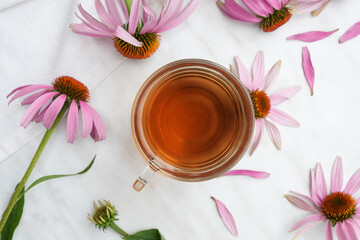 A glass cup of healthy echinacea tea and  coneflower buds and flowers on marble table. Top view. Flat lay. 