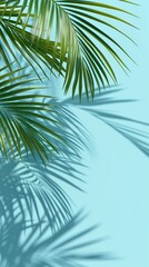 Fototapeta premium Palm tree leaf backgrounds sunlight.